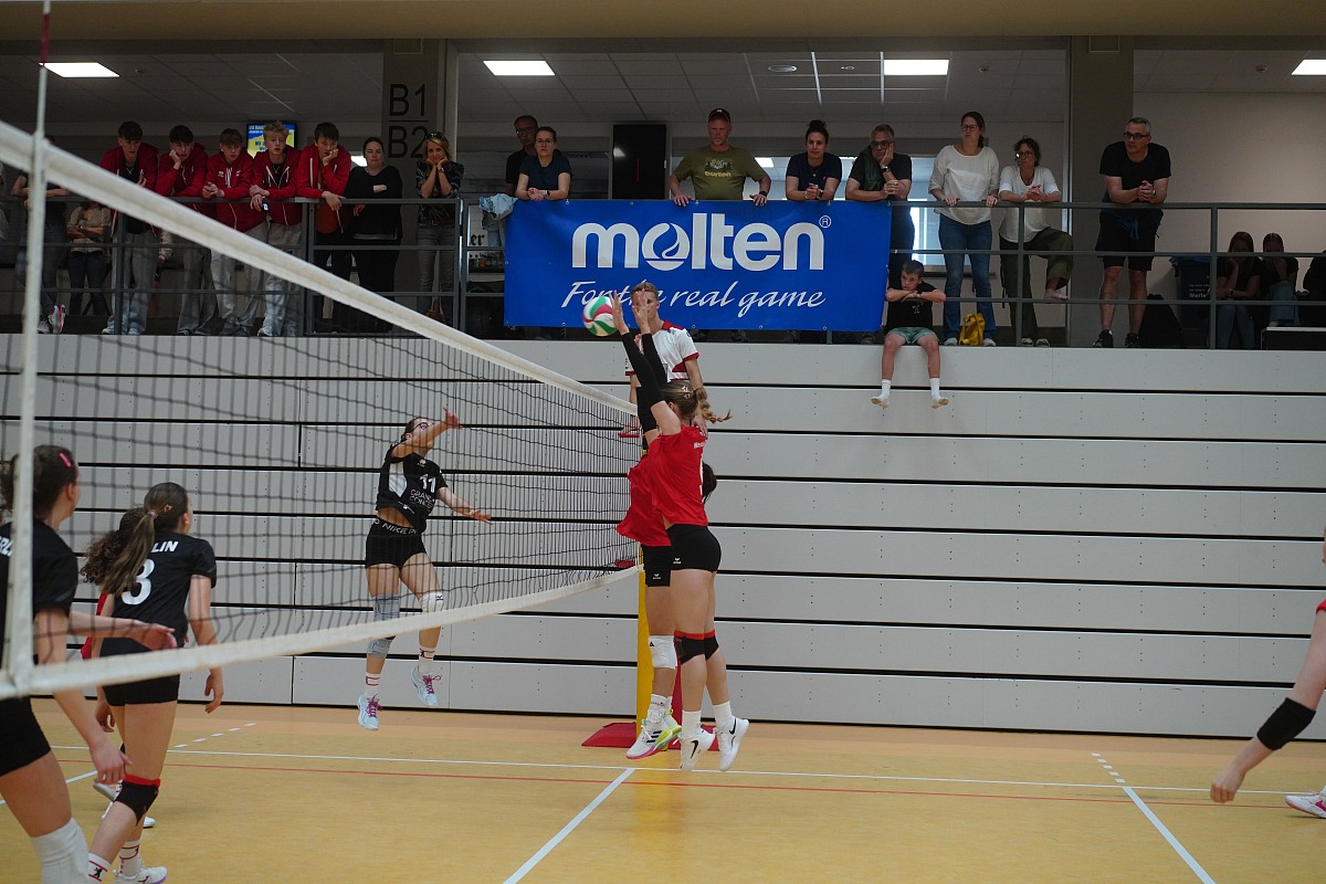 VMV-Bildergalerie: 