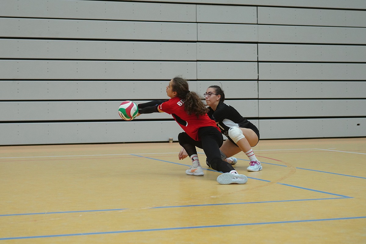 VMV-Bildergalerie: 