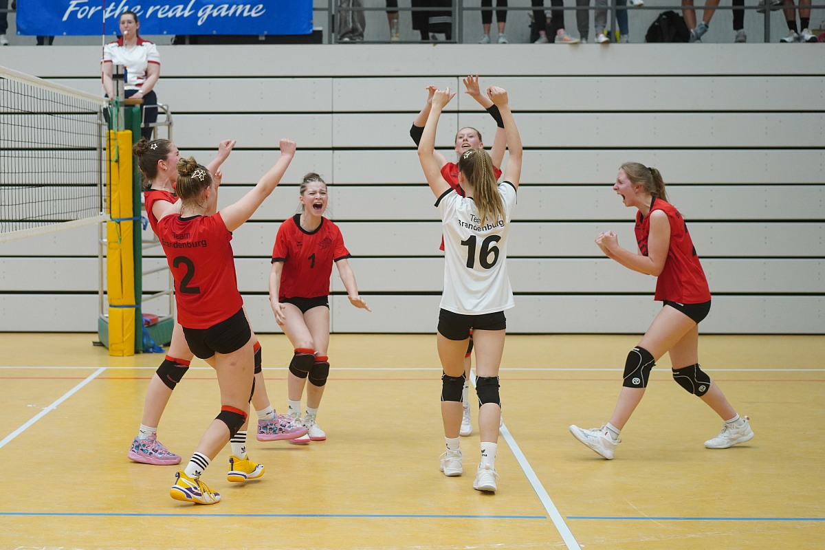 VMV-Bildergalerie: 