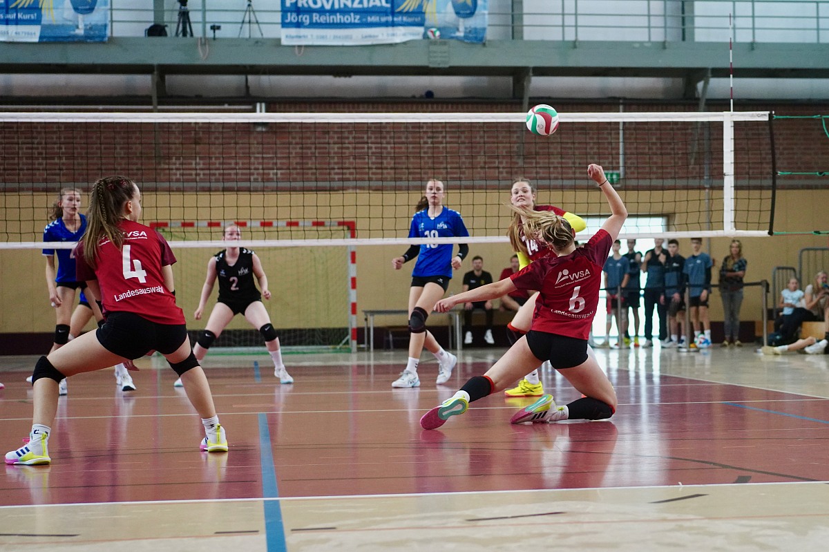 VMV-Bildergalerie: 