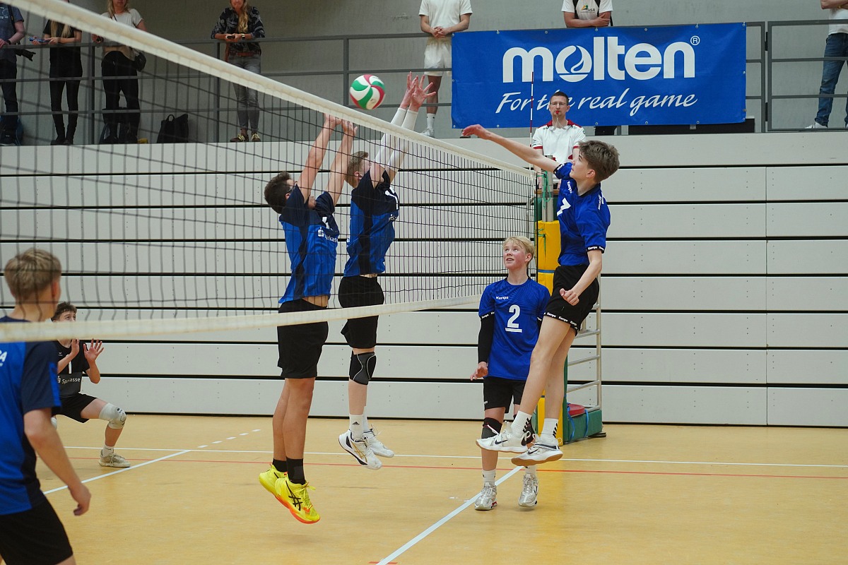 VMV-Bildergalerie: 