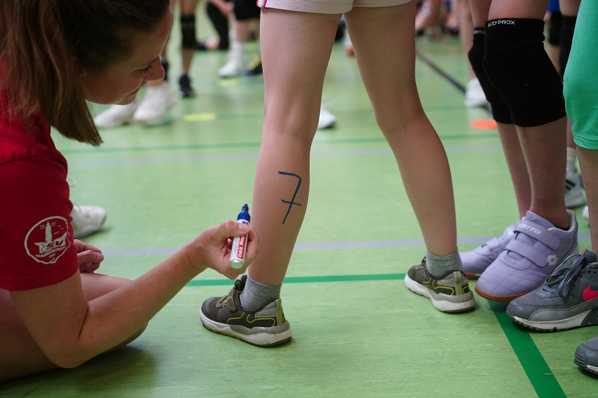 VMV-Bildergalerie: 