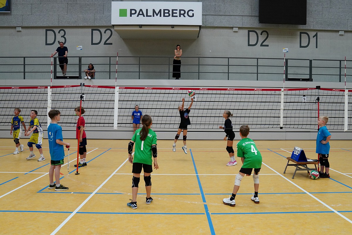 VMV-Bildergalerie: 