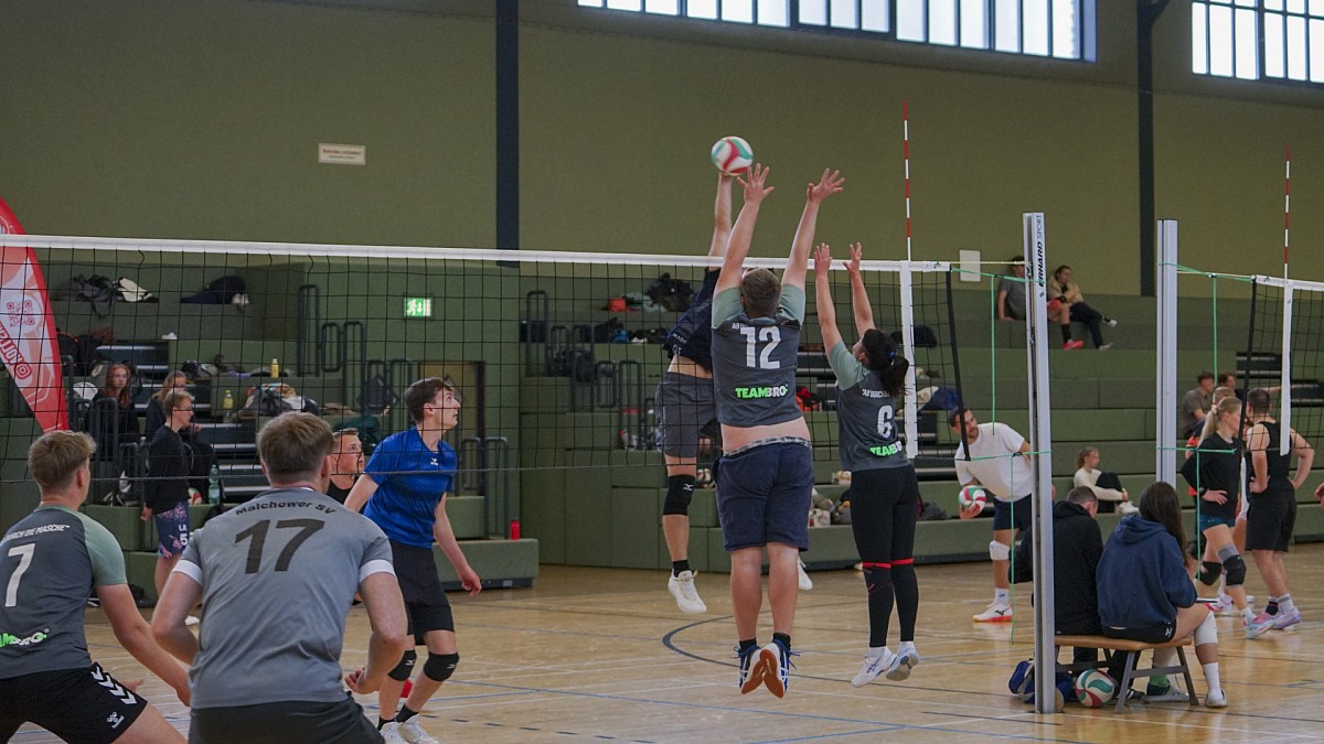 VMV-Bildergalerie: 