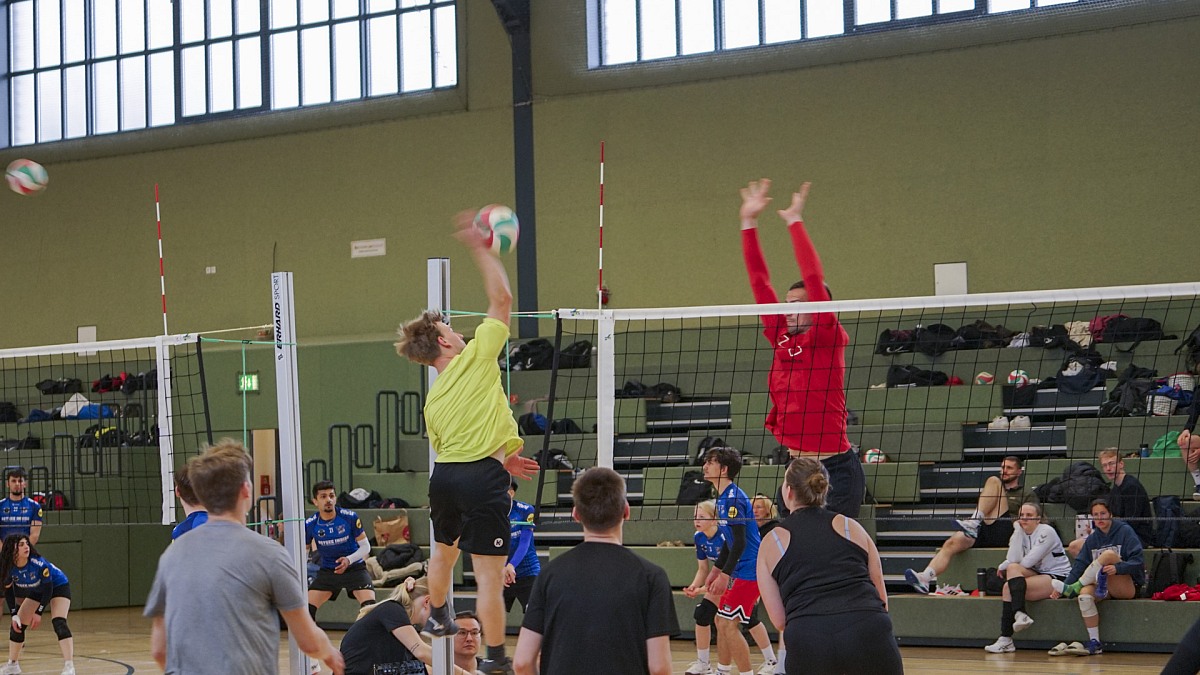 VMV-Bildergalerie: 