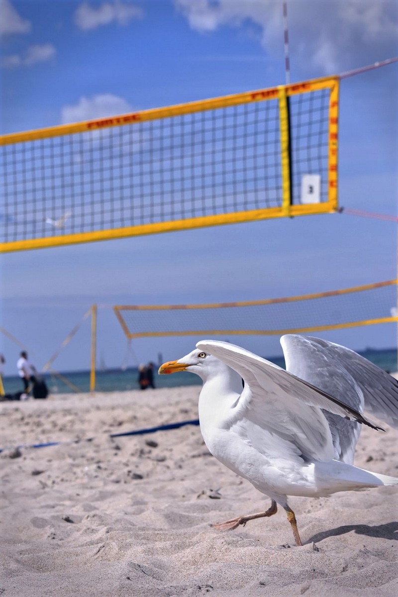 VMV-Bildergalerie: 